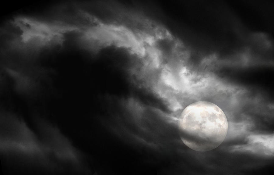 Wyldmoon STOCK