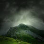 Rainy Hill STOCK