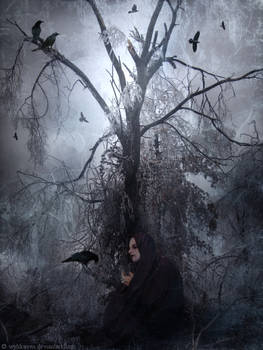 The Spirit Of Raven's Tree