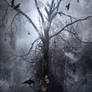 The Spirit Of Raven's Tree
