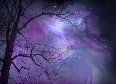 Tree and Nebula STOCK