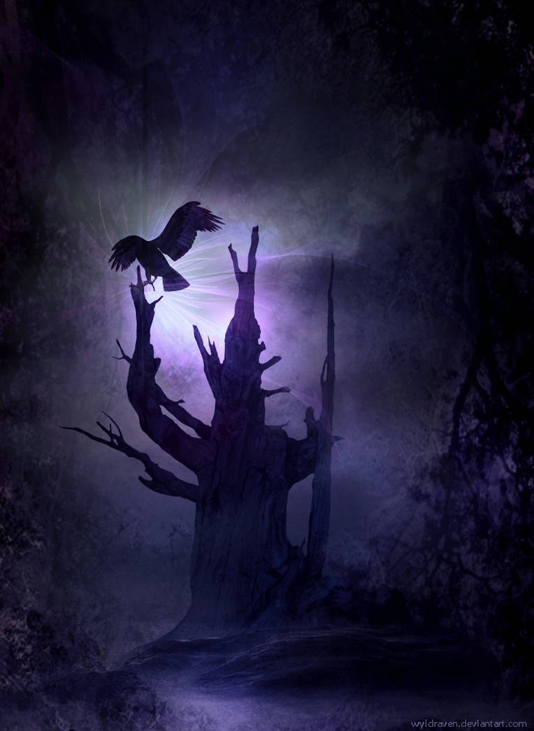 Night crows вороны. Страшный лес. Мистические вороны. Мрачный лес с воронами. Ворон ночью.