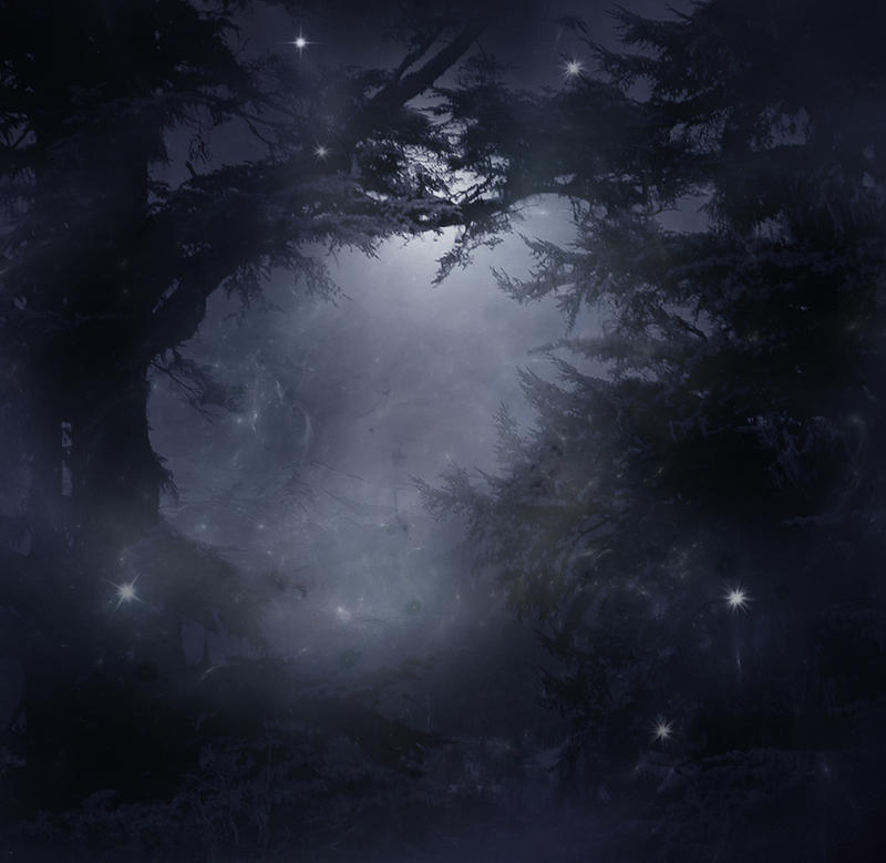 Mystical Forest Stock by wyldraven