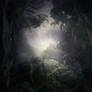 Primordial Forest Stock
