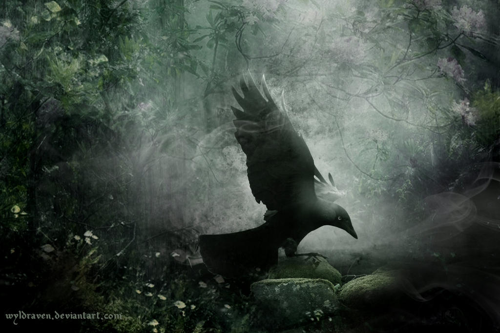 Pull Into Mist Into The Mist by wyldraven on DeviantArt