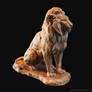 Lion sitting on a stone