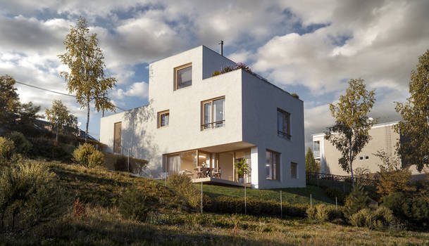 3d render of a house on a hillside