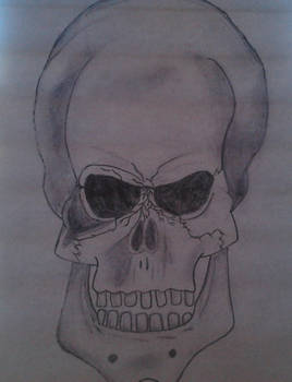 Skull Sketch