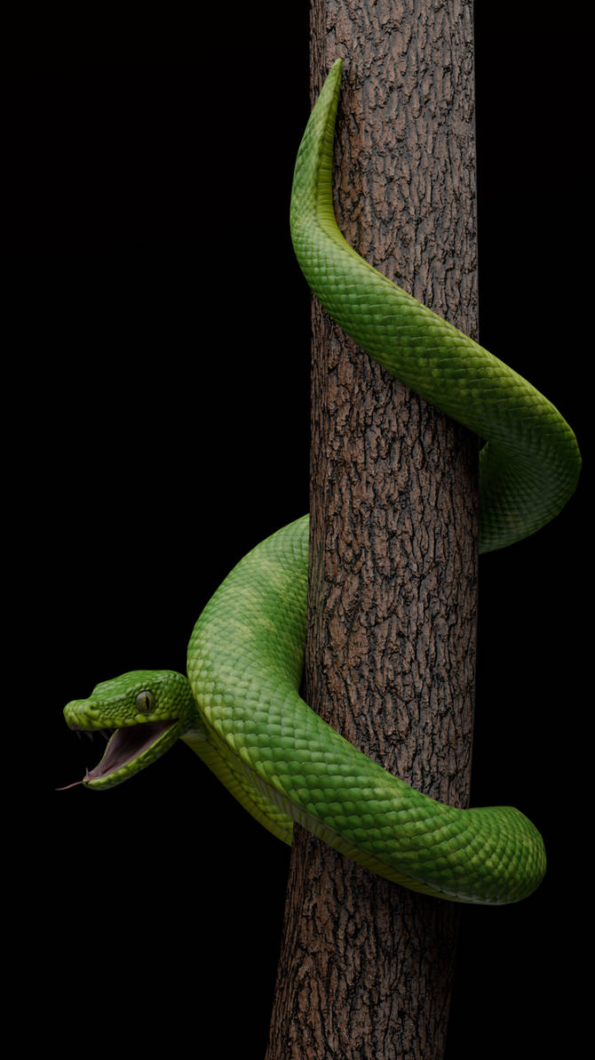 Green Python Portrait Green python by Anastasiaya on DeviantArt