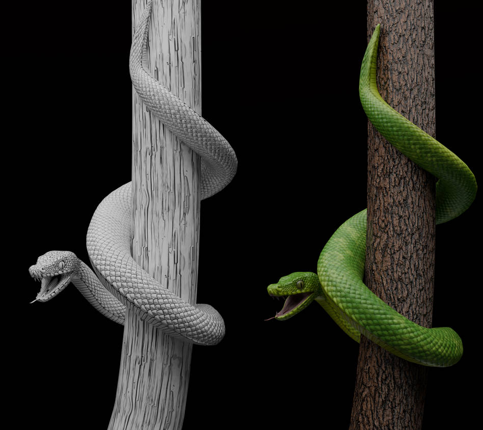 Path Other Snake Two variations of the same snake by Anastasiaya on DeviantArt