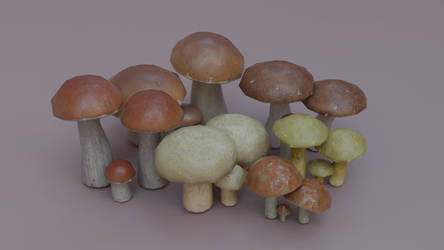 Pored Mushrooms