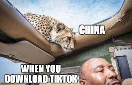Tiktoktechnate-China and Cheetahs!