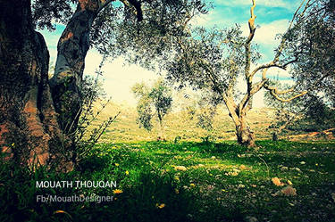 Spring in Palestine