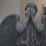 Weeping Angel - cosplay