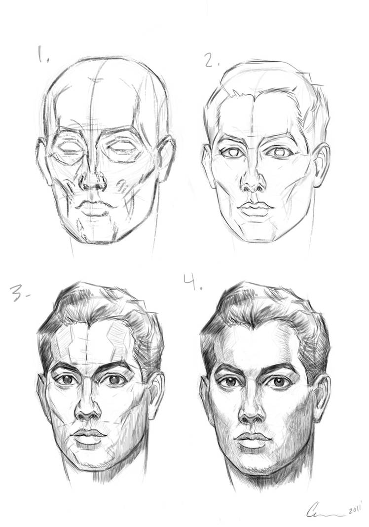 Andrew Loomis: Head Study by csick02 on DeviantArt