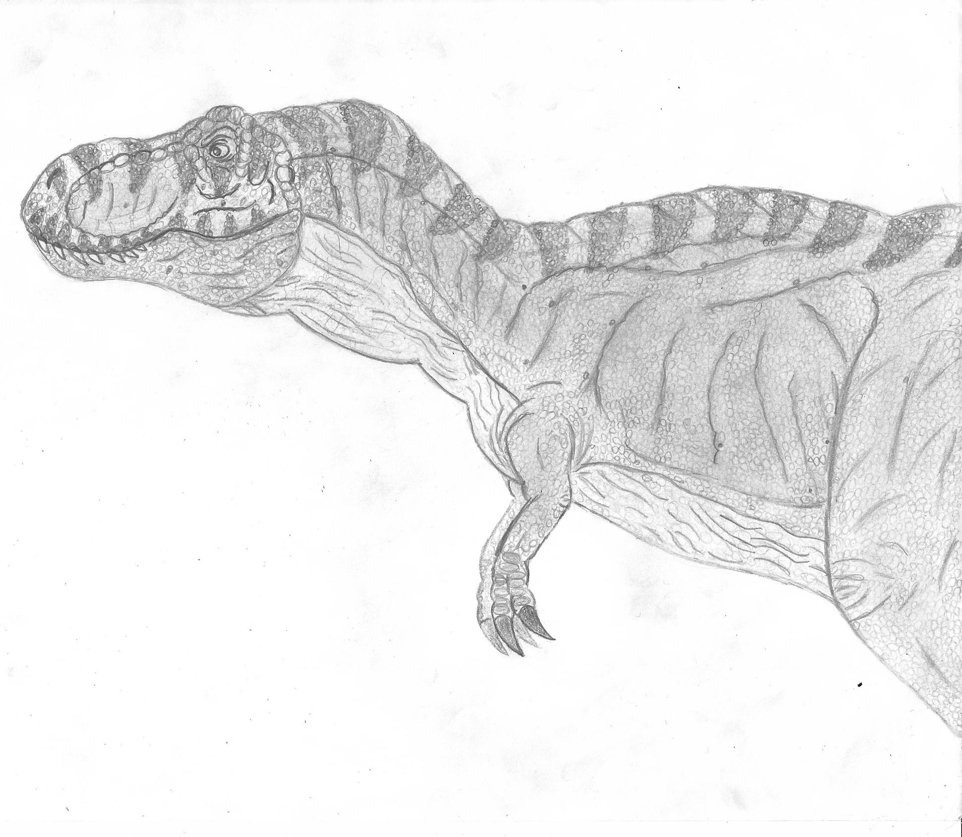 t rex jurassic park drawing