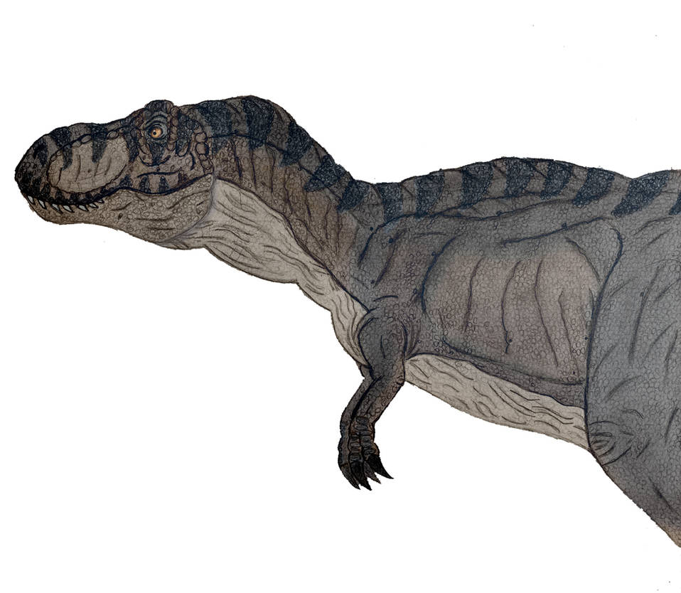 Como desenhar um Tiranossauro Rex - Jurassic Park 