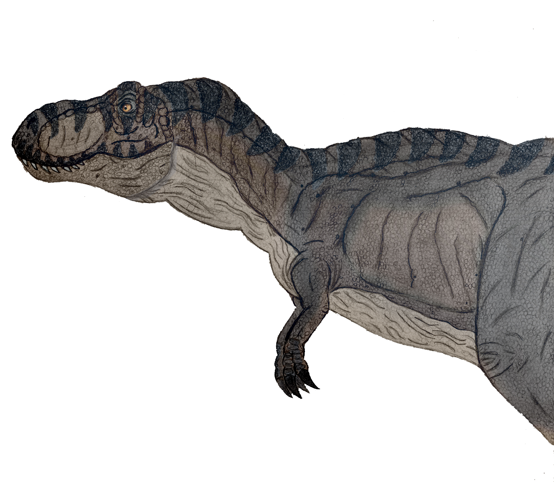 Black T-rex jurassic park by Rodrigovg3 on DeviantArt