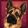 German Shepherd Portrait