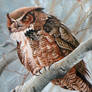 Bateman Study-Great Horned Owl