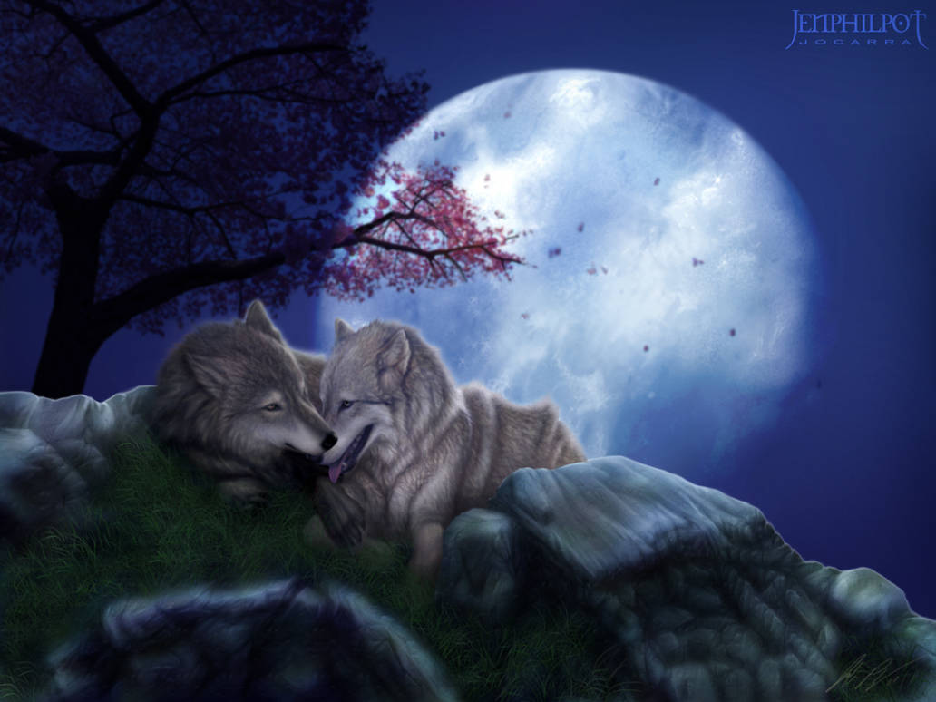 Ночь волков читать. Ночные волки. Спокойной ночи волчица. Спокойной ночи волк. Животные под луной.