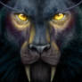 Eyes of Elune