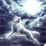 Commission: Spirit Wolf