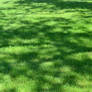 STOCK - Green Grass+Shadow 1