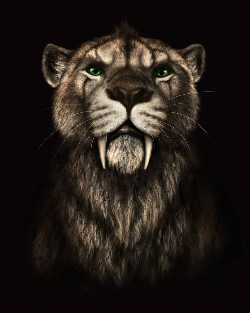 Commission - Implacable by jocarra on DeviantArt