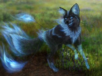 Commission - Umbral Vulpine