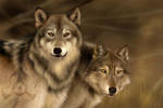 Wolf Mates III by jocarra