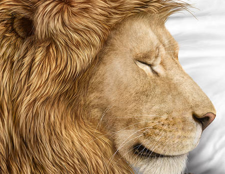 Commission - Cuddly Felines (Lion Closeup)