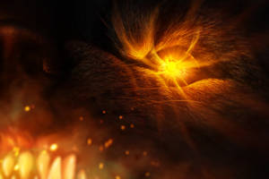 Commission - Facing the End of the World