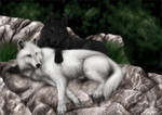 COMMISH: Wolf Mates IV by jocarra
