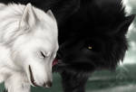 Commission: Wolf Mates V by jocarra