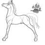 Saddlebred Pose Colt Line Art