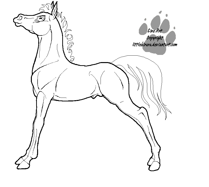 Saddlebred Pose Colt Line Art