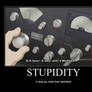 Stupidity Motivational Poster