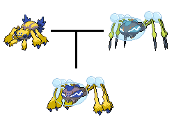 Araqantula Araquanid Galvantula Fusion By TheCraigadile On DeviantArt araqantula-araquanid-galvantula-fusion-by-thecraigadile-on-deviantart