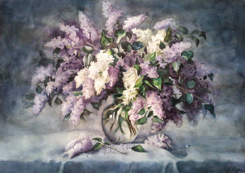 Diploma - Lilac