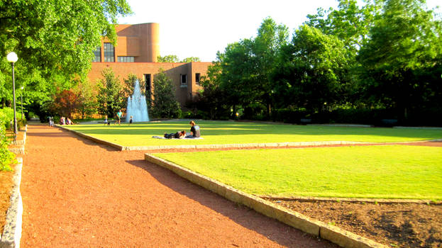 A Stoll on Campus