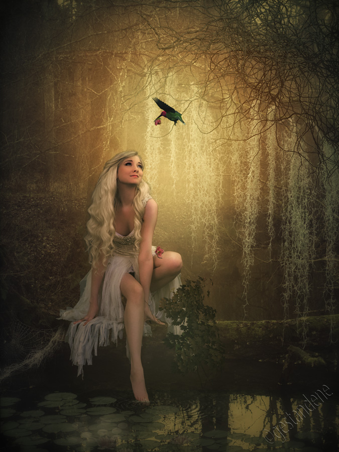 Geschenk by gestandene