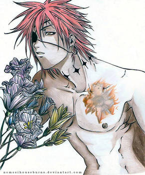 DGM - Noah Lavi