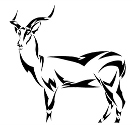 Tribal Antelope