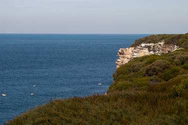 Royal National Park