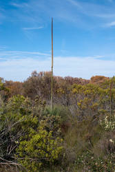 Royal National Park