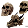 Stock Skull5