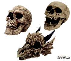 Stock Skull5