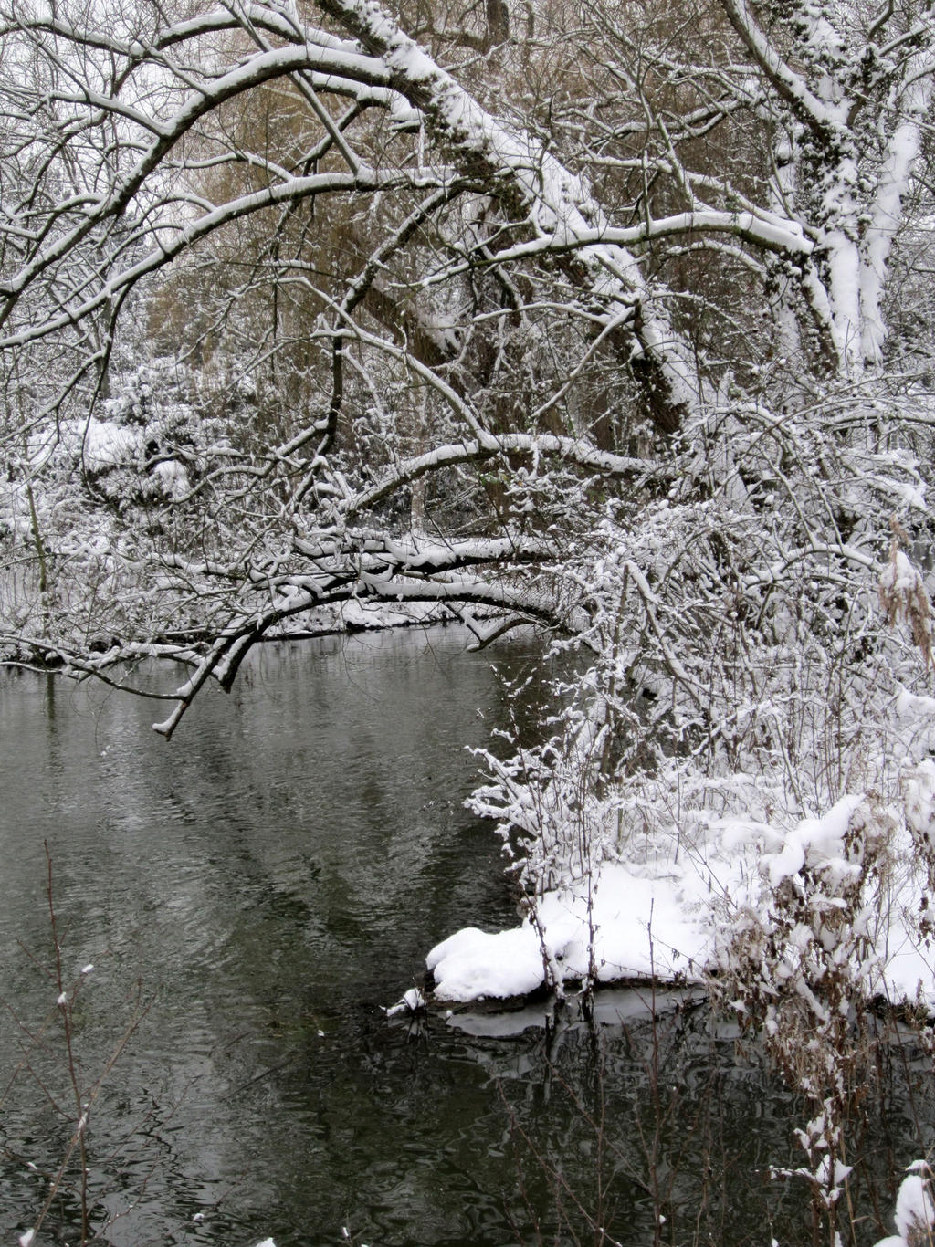 Stock photo Landscape snow3