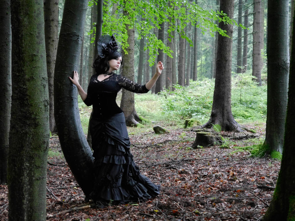 Forest 1 -Stock by Rosenrot-Photography Forest 1 -Stock by Rosenrot-Photography